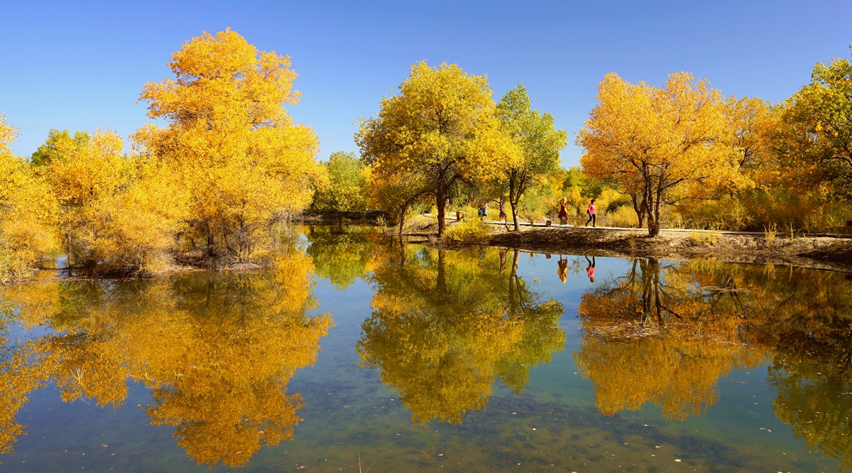 黑城+胡杨林+嘉峪关城楼+鸣沙山+莫高窟+翡翠湖+茶卡盐湖+青海湖8日游